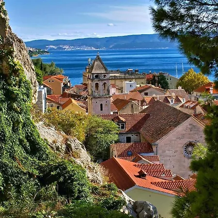 The View Omis